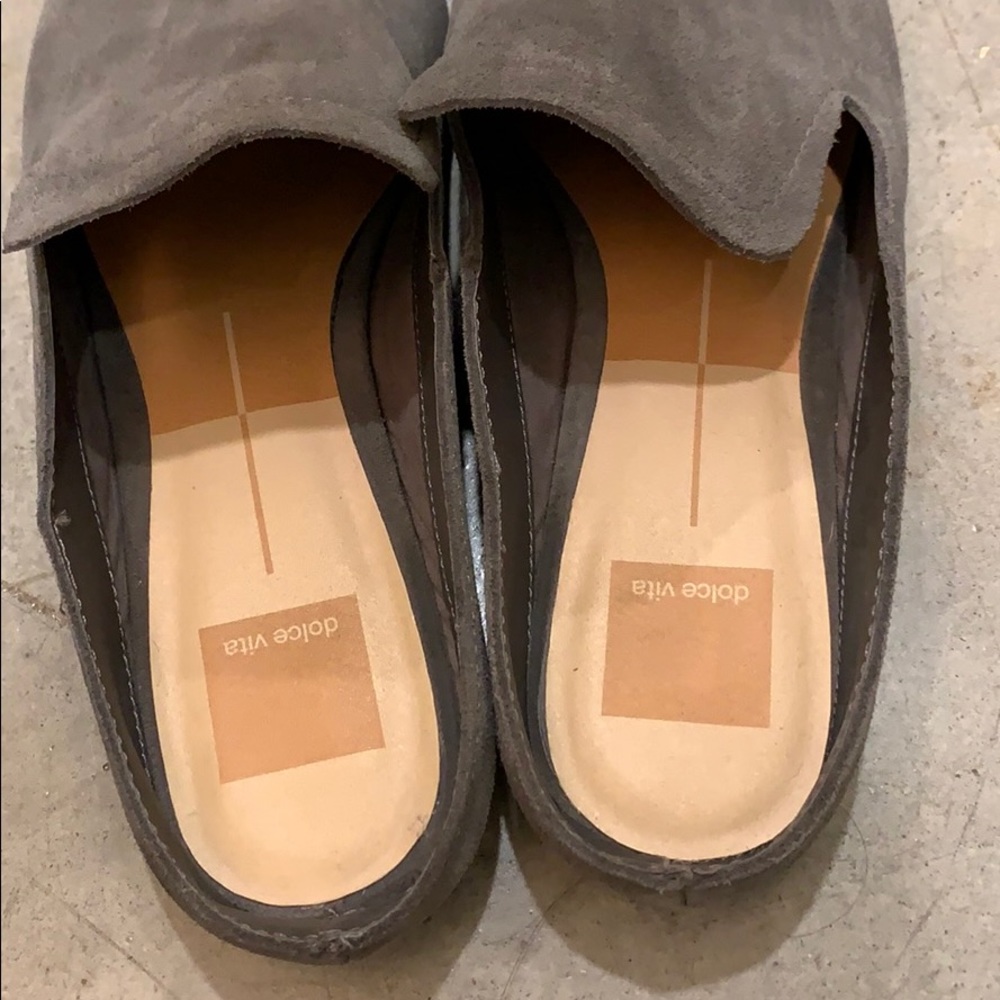Gray Mules - Picture 2 of 4